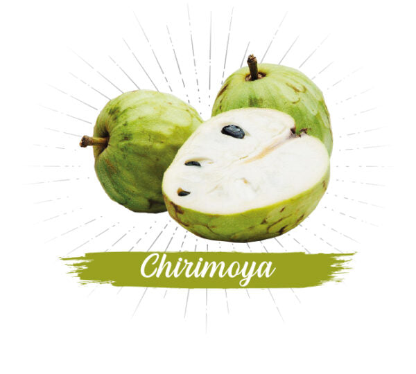 Chirimoya