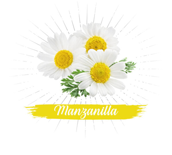Manzanilla