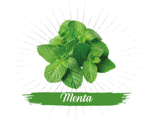 Menta